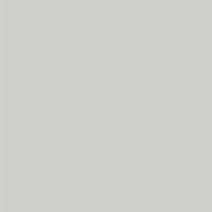 Dupli-Color EBFM03617 Perfect Match Automotive Spray, Ford Silver Birch, JP – 8 oz. Aerosol Can