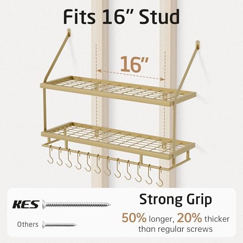 KES 30-Inch Gold Pot Rack Wall Mount, 2-Tier Hanging Pot and Pan Organizer