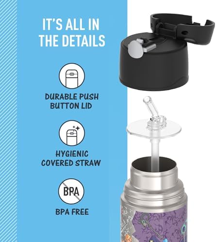 THERMOS FUNTAINER Water Bottle with Straw - 12 Ounce - Kids Stainless Steel Vacuum Insulated Water Bottle with Lid, Masters of the Universe