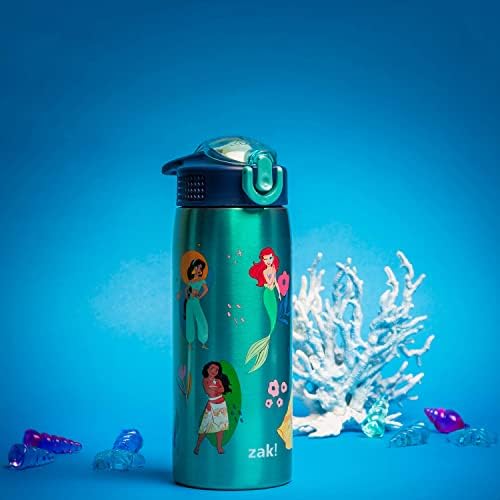 Zak Designs Disney Princess 19 oz Leak-Proof Kids Water Bottle With Straw