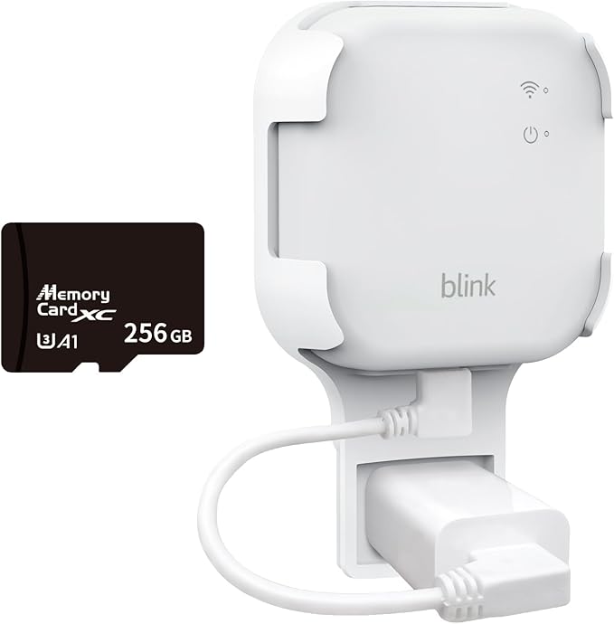 256GB MicroSD Card & Wall Mount