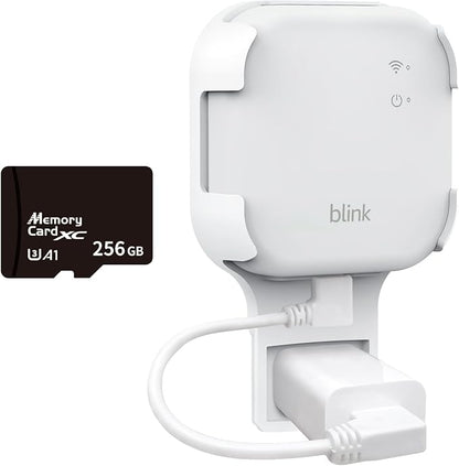 256GB MicroSD Card & Wall Mount