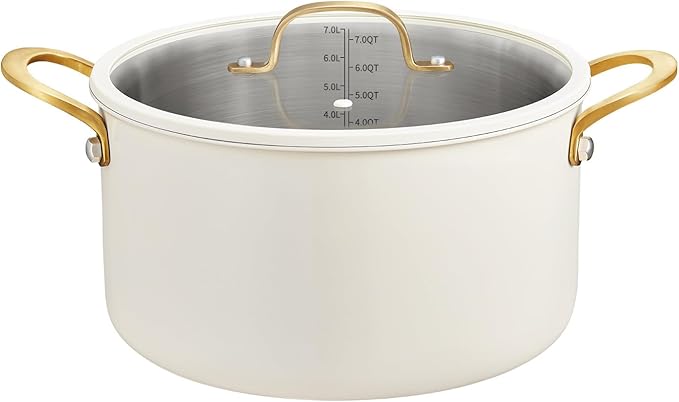 BEZIA 8 Quart Stainless Steel Stock Pot, Casserole