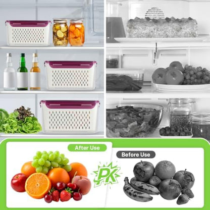 4Pack Fruit Storage Container for Fridge with Colander and Vent - Purple