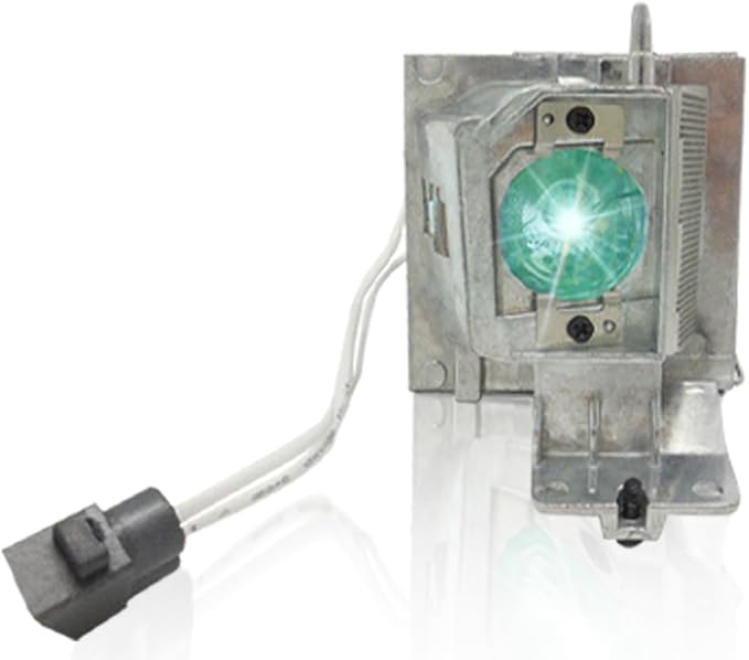 SORNEICDR Replacement Projector Lamp Bulb NP36LP BL-FP190E/FP190D MC.JH111.001