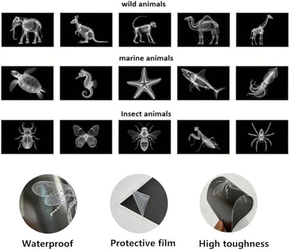 15 Animal X-ray Sets, Children's Education Science Sets, Exploring Bone Structure, Light Table Accessories in Light and Shadow Areas.