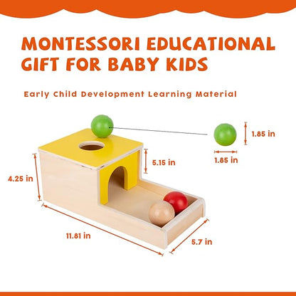 Montessori Toys for 1+ Year Old Babies - 4-in-1 Play Kit Includes Carrot Harvest Game, Infant Coin Box, Fine Motor Skills Toys and Object Permanence Box