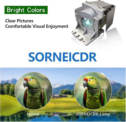 SORNEICDR SP LAMP-086/5J.JEL05.001/BL-FP190C Replacement Projector Lamp Bulb