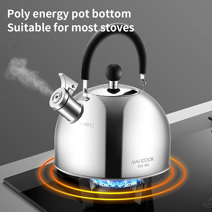 304 Stainless Steel Whistling Tea Kettle 2.1 Quart/2L, Suitable to Boiling Water & Tea on Induction Stove, Gas Stove Top
