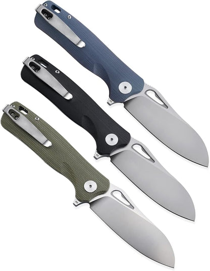 Petrified fish PF868 Bunta,3.35" D2 Satin Blade,146g G10 Handle Flipper Folding knife (Gray G10, Satin)