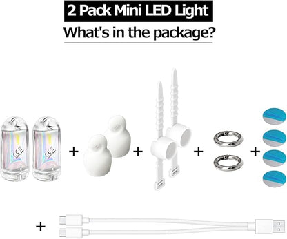 USB Mini LED Lantern, 2 Pack Waterproof EDC Keychain LED Flashlight for Camping, Type-C Rechargeable Battery Small Stick Lamp Puck Dog Collar Torch Light (White+Red)