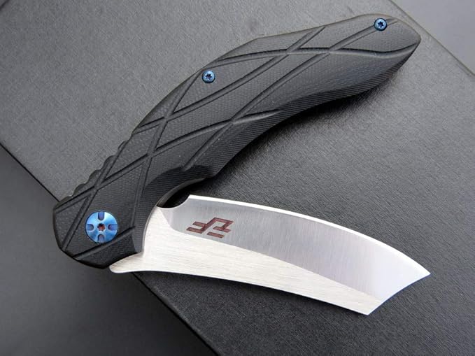 Eafengrow EF919 Folding Knife with Pocket Clip D2 Steel Blade G10 Handle Scales EDC Tool Outdoor Knives for Camping Fishing Hiking(Black)