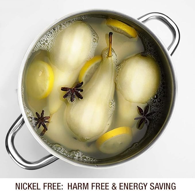 HOMICHEF Small Stock Pot 4 Quart Nickel Free Stainless Steel