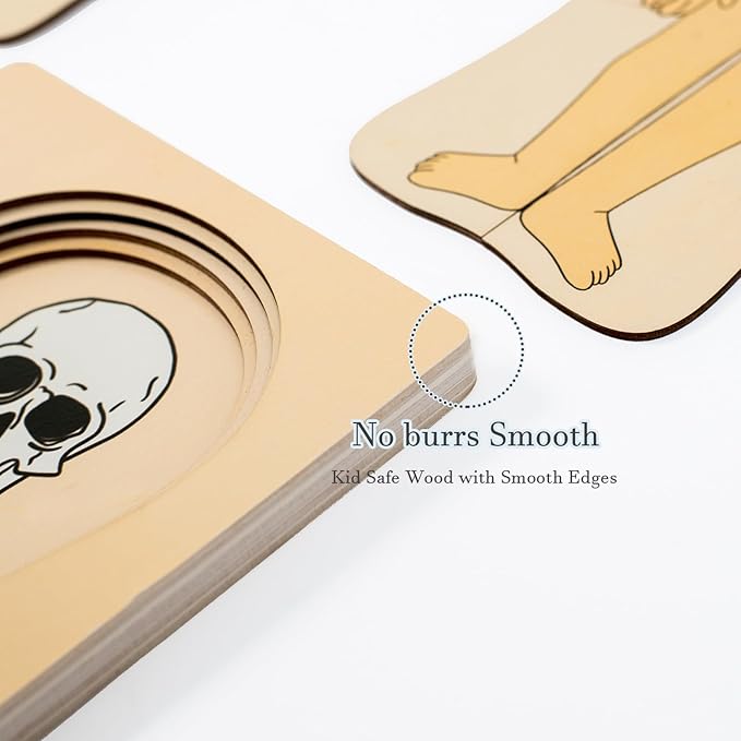 My Body Parts Puzzle for Toddlers Girls Boys Wooden Anatomy Puzzle 3-8 Years Old Preschool Learning Game Human Body Skeleton Toys