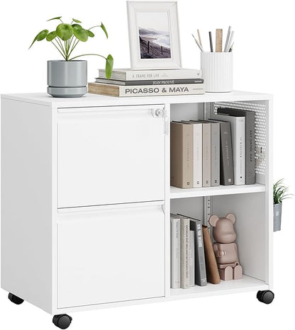 MIIIKO 2 Drawer File Cabinet on Wheels, Metal Filing Cabinets