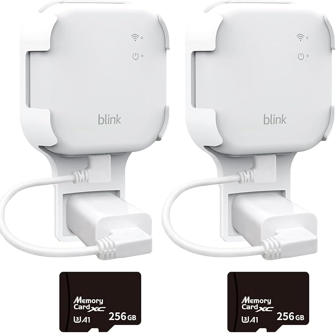 256GB MicroSD Card & Wall Mount
