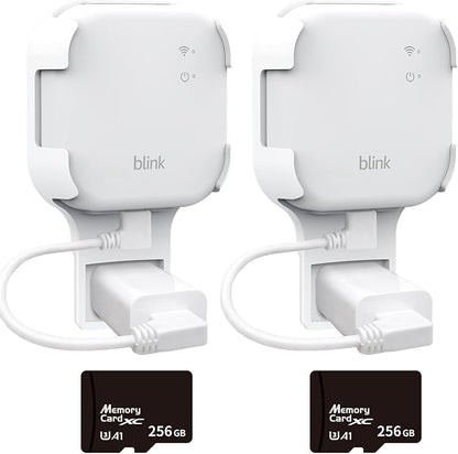 256GB MicroSD Card & Wall Mount