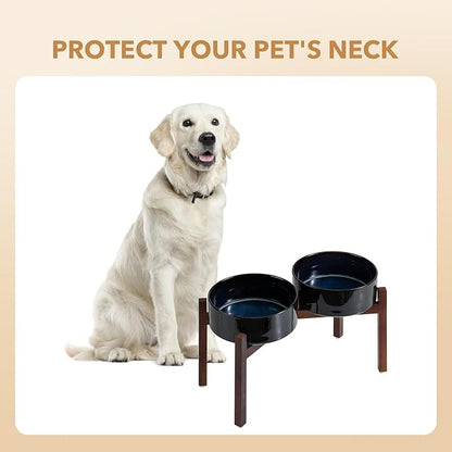 Ceramic 8.2inch Raised Double Dog Bowls Set
