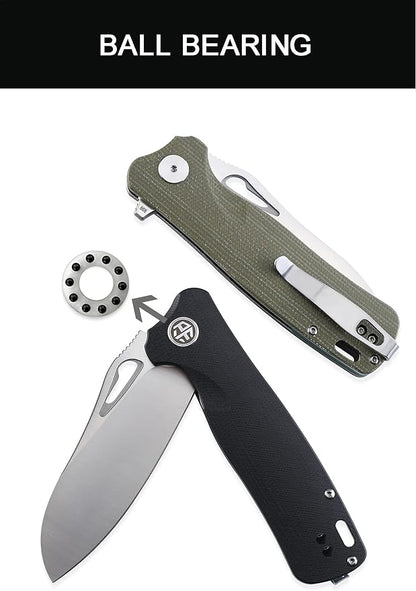 Petrified fish PF868 Bunta,3.35" D2 Satin Blade,146g G10 Handle Flipper Folding knife (Gray G10, Satin)