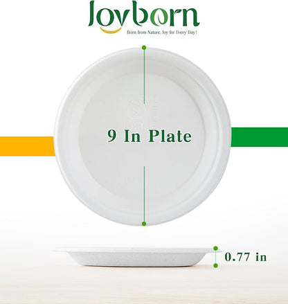 100% Compostable Paper Plates, 9 Inch, 125 Count, Biodegradable Bagasse Plates, Heavy Duty Disposable Plates Bulk for Party | Microwave-Safe | Soak-Resistant, Cut Resistant