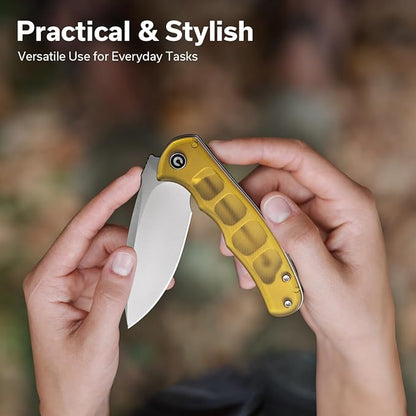 CIVIVI Mini Praxis Pocket Knife for EDC, Folding Pocket Knife with 2.98" D2 Blade Ultem Handle with Flipper for Men Women C18026C-4