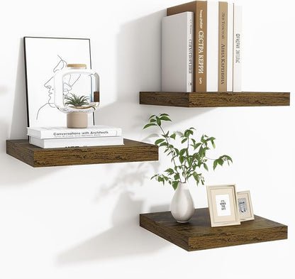 Fun Memories Floating Shelves for Wall