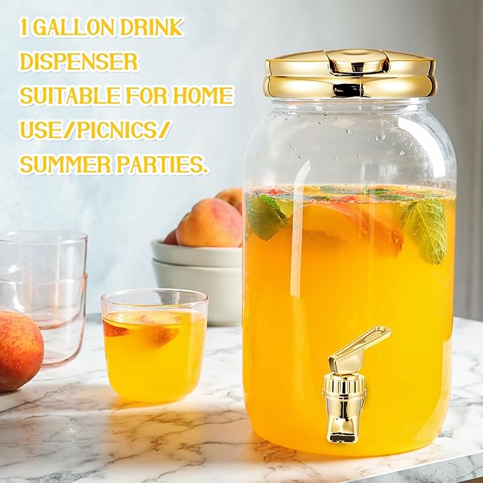 Havawish 2 Pcs 1 Gallon Plastic Beverage Dispenser
