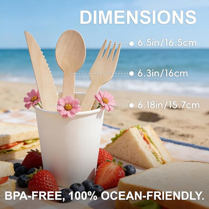 Compostable Wooden Utensils
