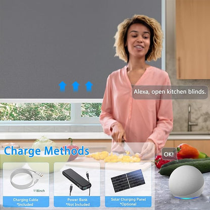 COOLWINDS Motorized Blinds