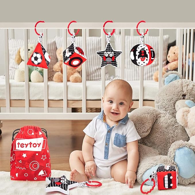 teytoy High Contrast Baby Stroller Toy, Black and White Infant Pattern Toys with Rattle, Easy Clip Hanging Toys, Stroller Crib Carseat Toy, Newborn Baby Toys for 0 3 6 9 12 Month