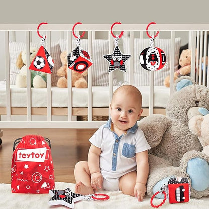 teytoy High Contrast Baby Stroller Toy, Black and White Infant Pattern Toys with Rattle, Easy Clip Hanging Toys, Stroller Crib Carseat Toy, Newborn Baby Toys for 0 3 6 9 12 Month
