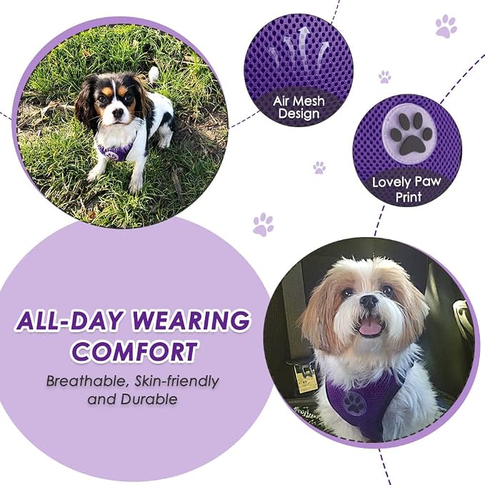 Lukovee Dog Car Harness Seat Belt, Adjustable Mesh Breathable Vest with Elastic Bungee Tether, Soft Padded 2-in-1 Safety Car Harness Seatbelt for Small Medium Large Dogs (Purple,S)