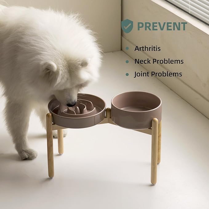 3.2 Cup Ceramic Raised Slow Feeder Dog Bowl Set, Elevated 8.2inch Bowl and