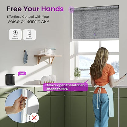 Astomi Motorized Roller Shades for Windows, Smart Blinds, Voice Control