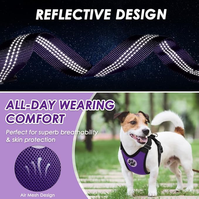 Lukovee Dog Car Harness Seat Belt, Adjustable Mesh Breathable Vest with Elastic Bungee Tether, Soft Padded 2-in-1 Safety Car Harness Seatbelt for Small Medium Large Dogs (Purple,L)