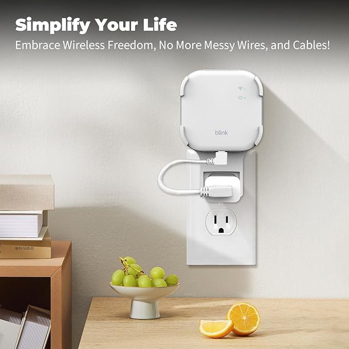 256GB MicroSD Card & Wall Mount