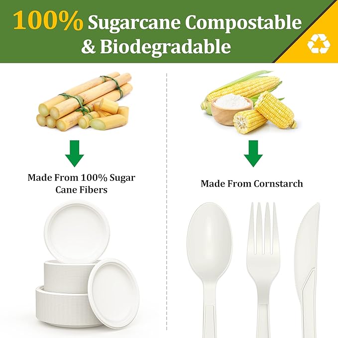 250PCS Disposable Paper Plates Set and Utensils, Compostable Dinnerware 9 and 7inch Plates, Biodegradable Paper Plates, Forks, Knives and Spoons for Party 50 People