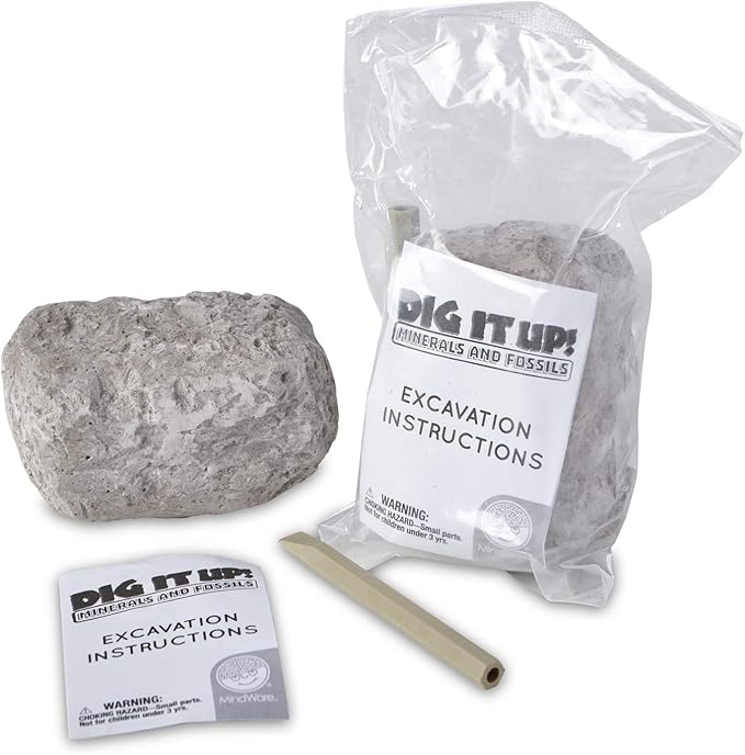Dig It Up! Fossils & Minerals