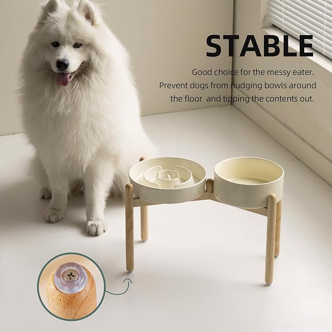 3.2 Cup Ceramic Raised Slow Feeder Dog Bowl Set, Elevated 8.2inch Bowl and