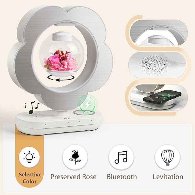 LoveLin Floral Preserved Rose Flowers