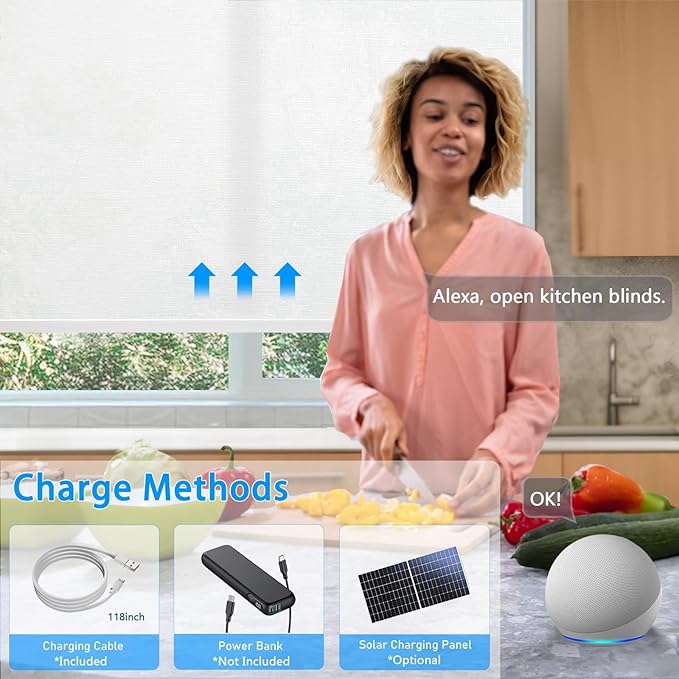 COOLWINDS Motorized Blinds