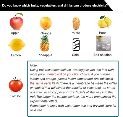 EUDAX Fruit Battery Science Experiment Kit for DIY School Home Teaching Equipment, Orange Lemon Potato Electronic Clock Science Project Kit Physics Educational for Students Teachers (8 Set)