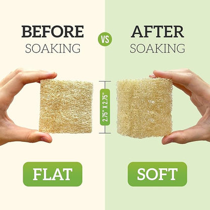Natural Loofah Dish Sponge Multipurpose Dish Sponges