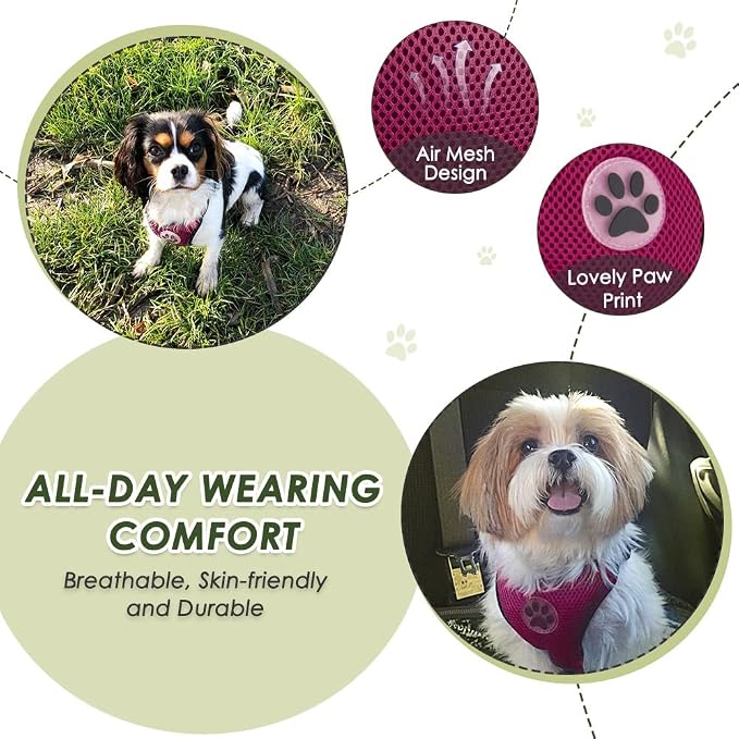 Lukovee Dog Car Harness Seat Belt, Adjustable Mesh Breathable Vest with Elastic Bungee Tether, Soft Padded 2-in-1 Safety Car Harness Seatbelt for Small Medium Large Dogs (Rose,XXS)