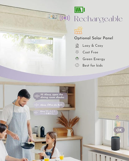 Graywind Smart Roman Shades Compatible