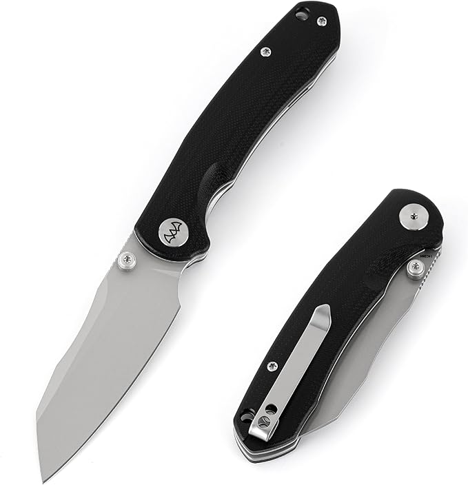 Folding Pocket Knife, 3.35" 14C28N Blade G10 Handle EDC Knife with Liner Lock, Small Pocket Knife with Clip for Men, Sharp Camping Hiking Hunting Survival Knives (Silver)