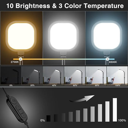 2 Packs Video Conference Lights