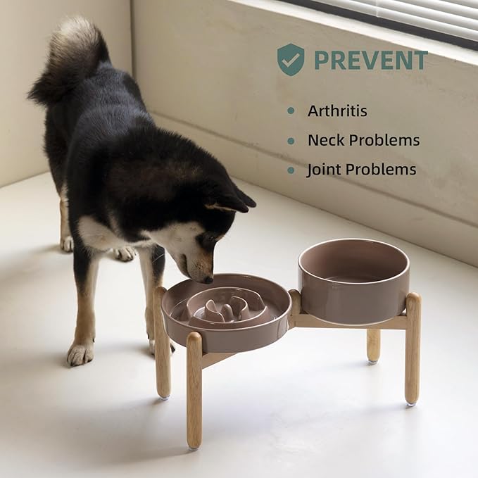 Ceramic Raised Slow Feeder Dog Bowl Set, Elevated 7.3inch Bowl and 8.2inch