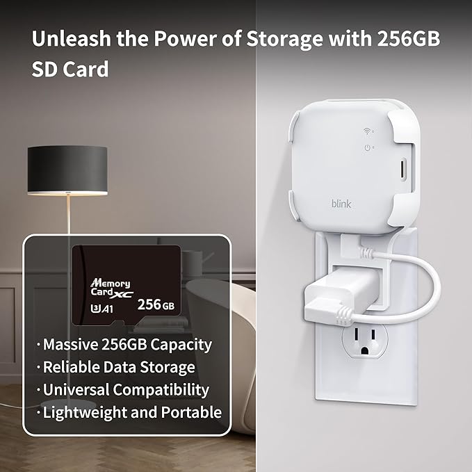256GB MicroSD Card & Wall Mount