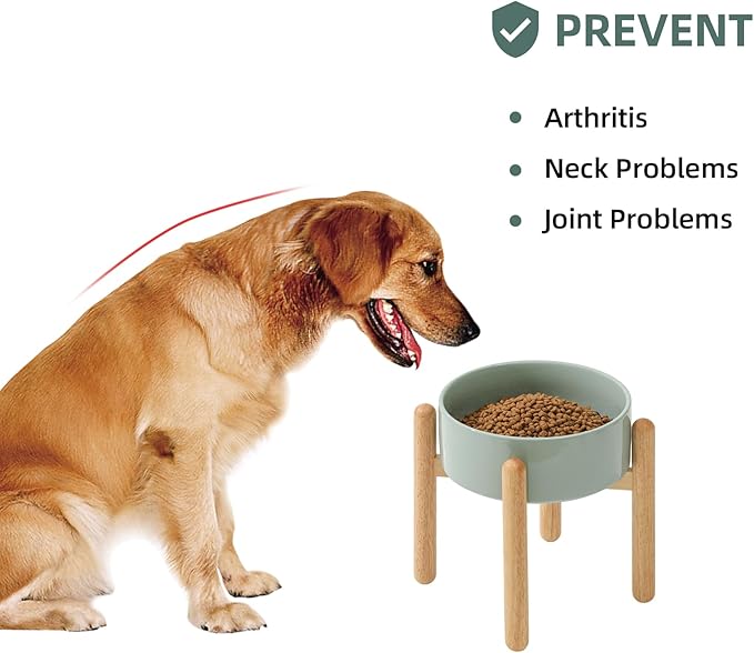 Ceramic 8.2inch Raised Dog Bowl